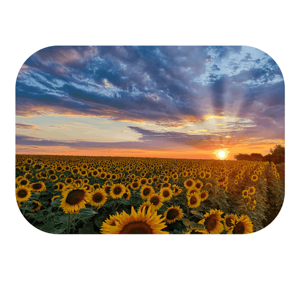 Sunflower Sunset Printed Mouse Pad
