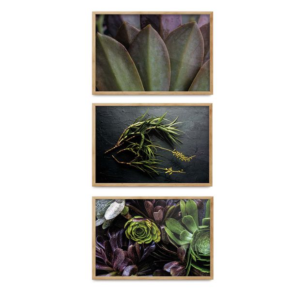Cape Art Wall Art CURATED 3 Piece KLEIN KAROO
