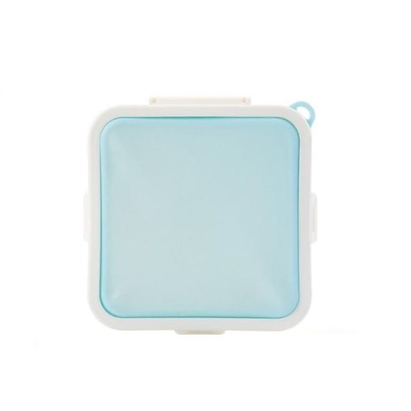 Portable Sandwich Crisper Box