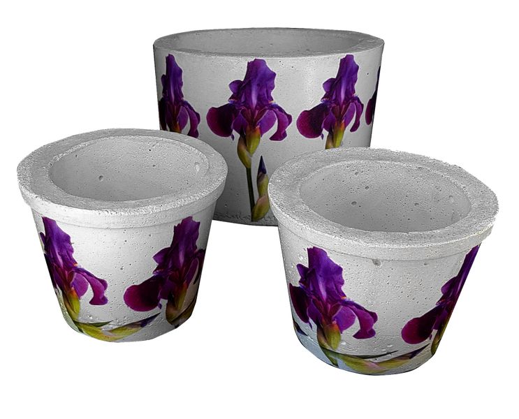 Perfectly Potty - Artisan Cement Pot - Purple Iris Set