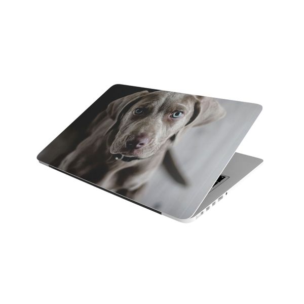 Laptop Skin/Sticker - Doggy Staring
