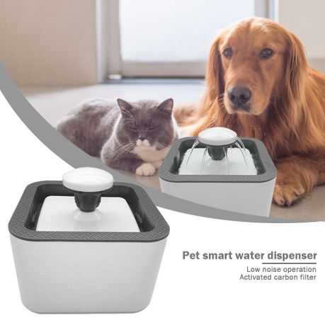 Dog paw 2024 water fountain