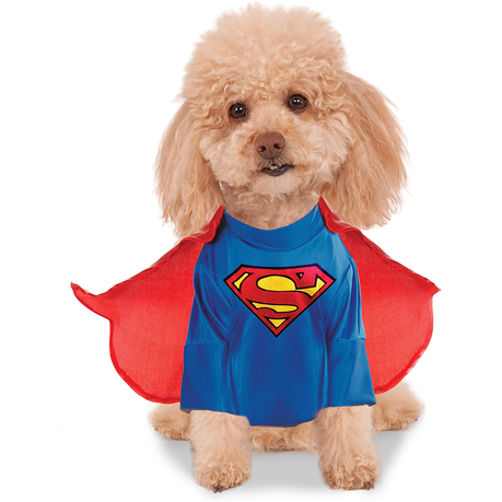 Superman hotsell dog shirt