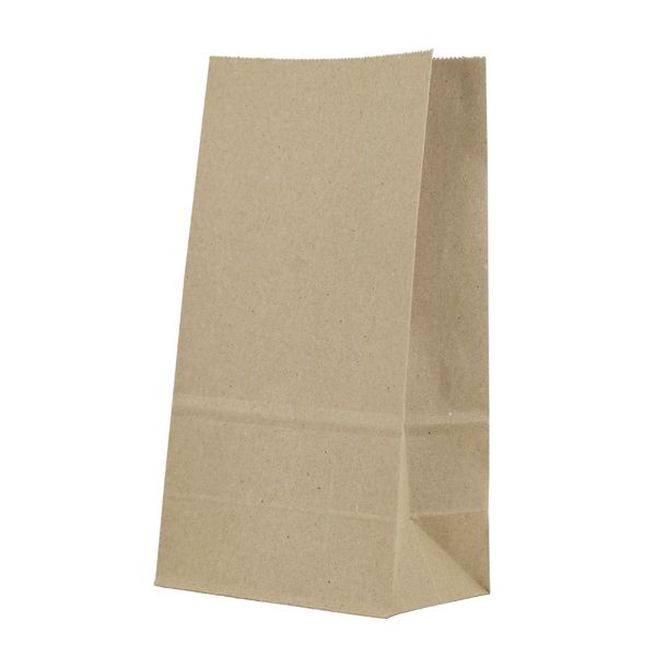 Kraft Paper Bag pack of 100 - 15cm x 30cm x 10cm