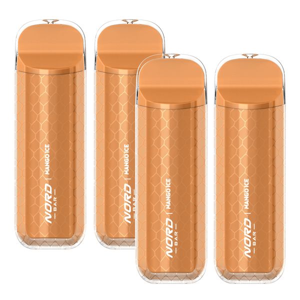 Nord Bar Rechargeable Disposable Vape - 4000 Puffs - Blueberry Raspberry - 2 Pack