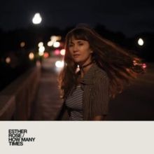 How Many Times (Vinyl / 12" Album)