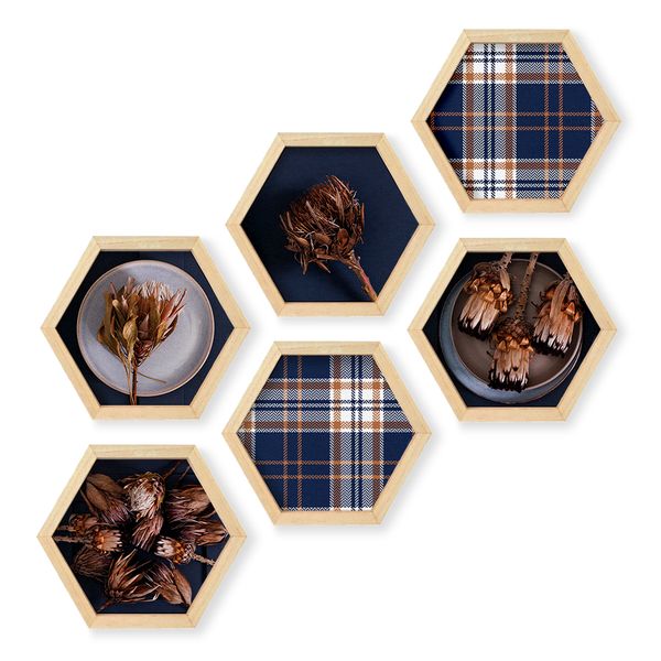 Cape Art Wall Art Pine Hex 6 Piece Collage - Modern Rustic