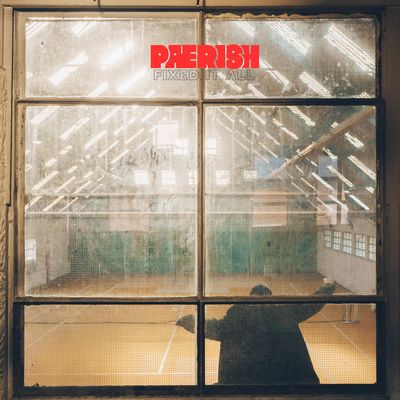 Fixed It All (Vinyl / 12" Album)
