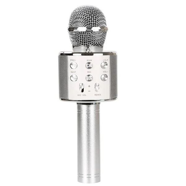 Wireless Microphone-WS-858-Silver