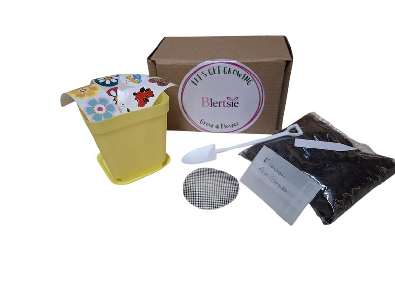 Blertsie Children's Flower Growing Kit