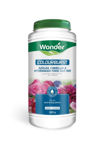 Wonder Colourburst Azalea Plant Food 500g