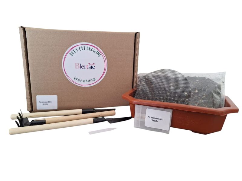 Blertsie Grow A Bonsai Kit - American Elm