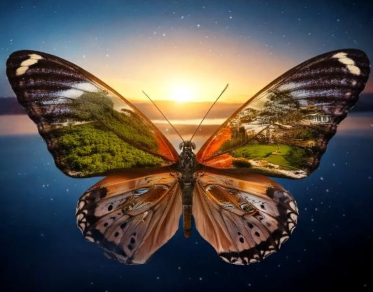 Canvas Home Decor Wall Art - Butterfly 4