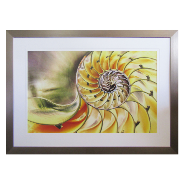 Furnicare Framed Print - Solarized Nautilus Shell - 1400x1000mm