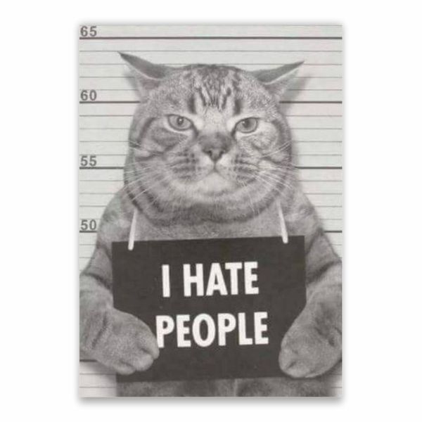 I Hate People Cat Mug Shot Poster - A1
