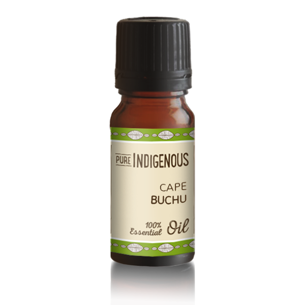 Pure Indigenous Cape Buchu 100% Organic Essential Oil