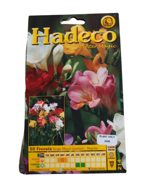 Freesias - Mixed (Regular) - 50 bulbs p-pack