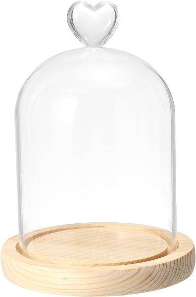 Glass Dome On Wooden Base