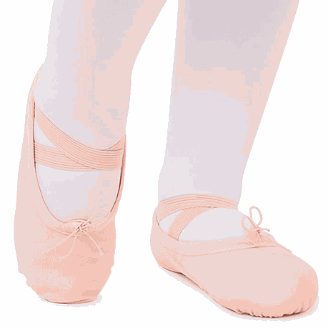 Ballet Shoe Canvas Split-Sole  Ballet Pink, Black, Hazelnut – GUS SHOP