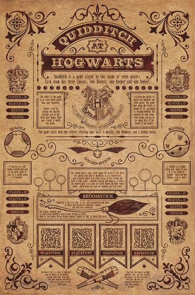 Harry Potter - Quidditch At Hogwarts Poster