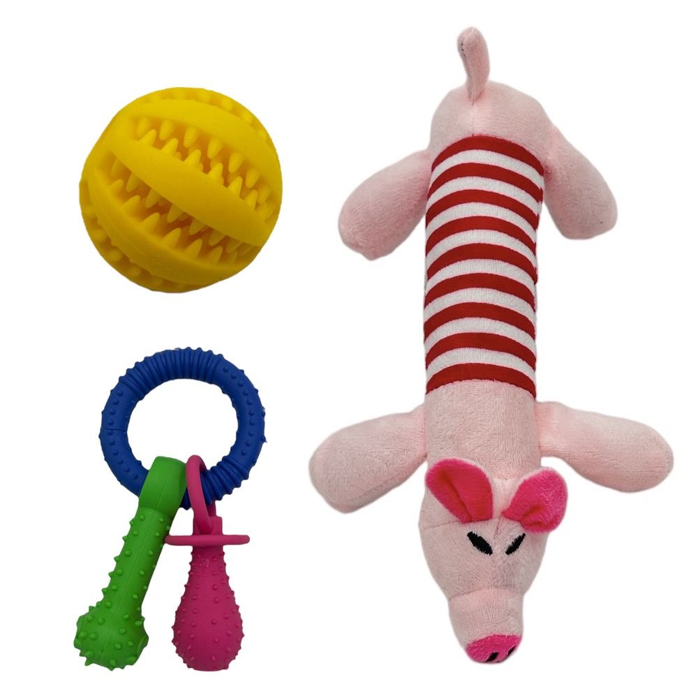 3 Pack Chew Toys for Puppies and Small Dogs Shop Today. Get it