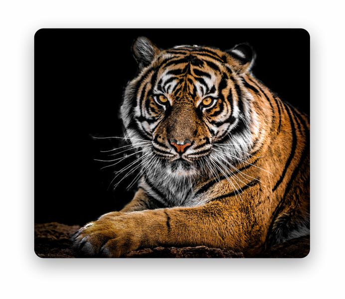 Awesome Tiger Themed Mouse Pad