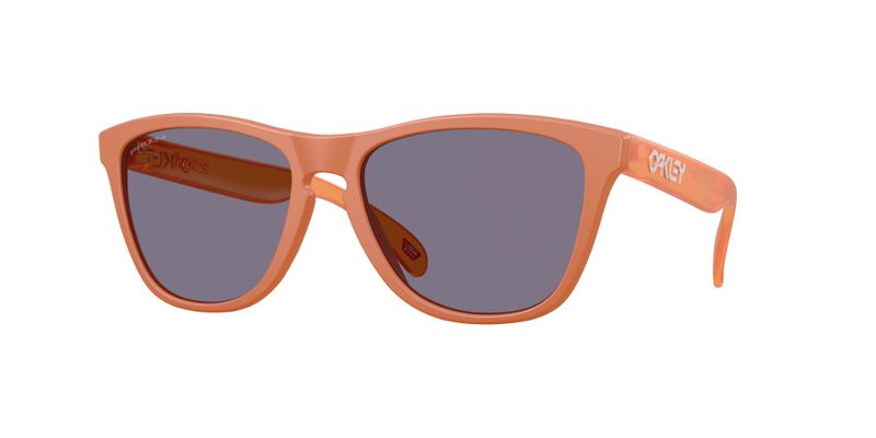 Oakley Men's Frogskins Polarized Sunglasses