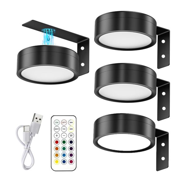 4PK Magnetic Picture Lights Wall Mounted Poster Lights 3 Color Temps 13 RGB