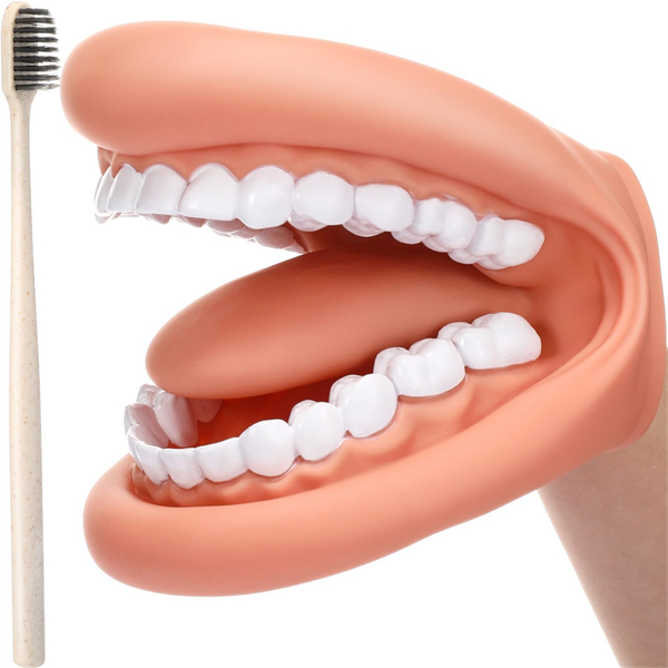Mouth Puppet with Tongue Teeth Mouth Hand Puppet Dental Mouth Model