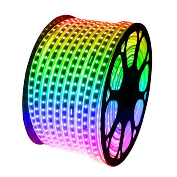 100M RGB LED Strip Light 220V