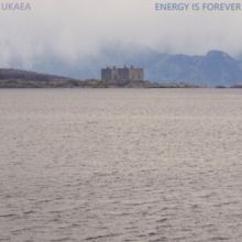 Energy Is Forever (Vinyl / 12" Album)