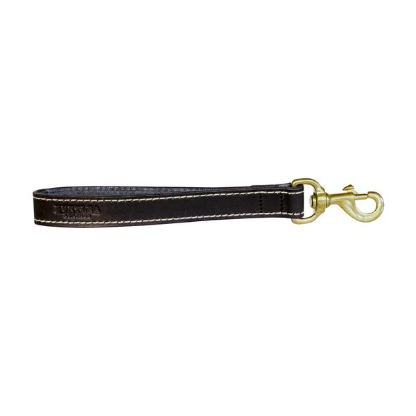 Huntlea Lion Leather Close Contact Lead