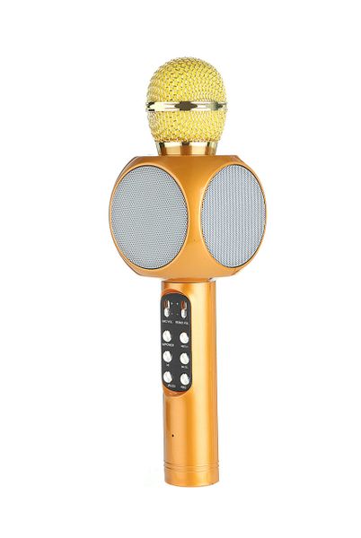 Wireless Bluetooth Microphone Karaoke, Handheld, with Speaker WS1816