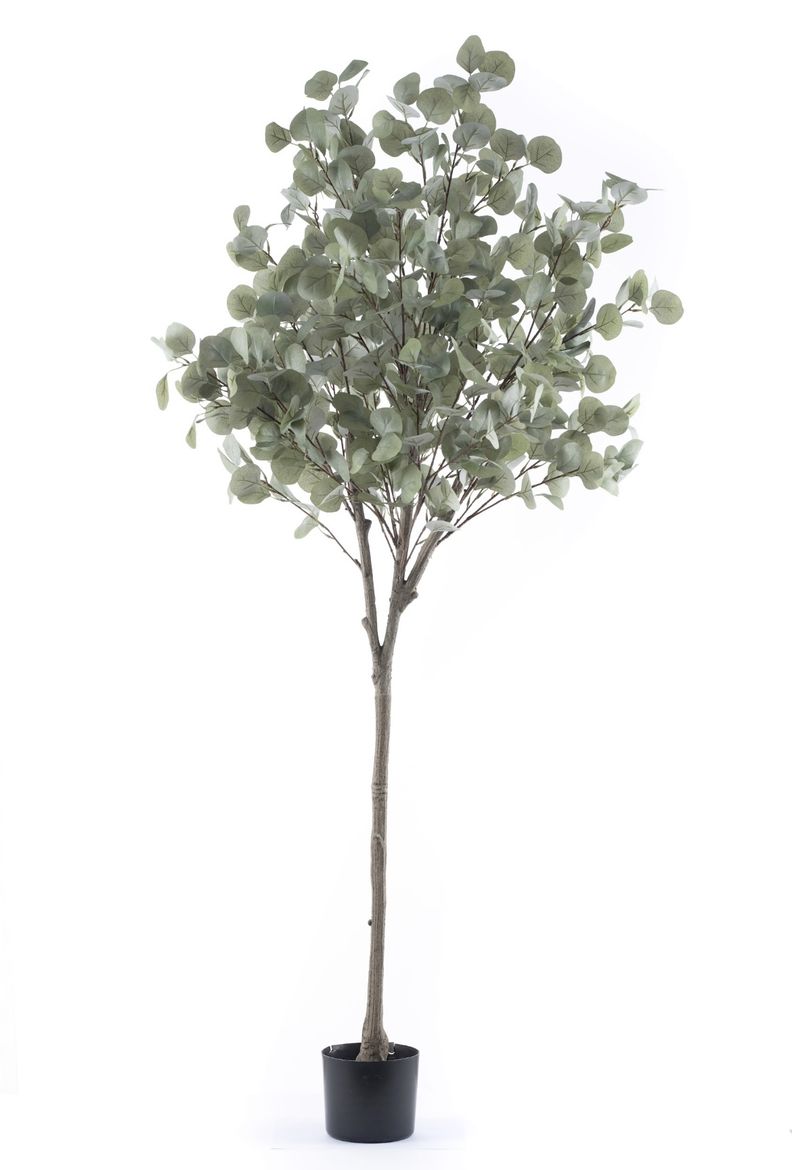 Artificial standing Eucalyptus Tree - 1600mm | Shop Today. Get it ...