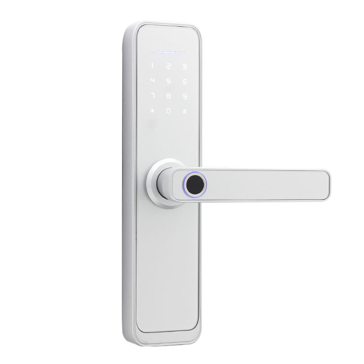 Intelligent Smart Door Lock Shop Today. Get it Tomorrow!
