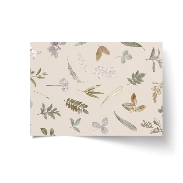 A3 Disposable Paper Placemat Set - Dried Flowers