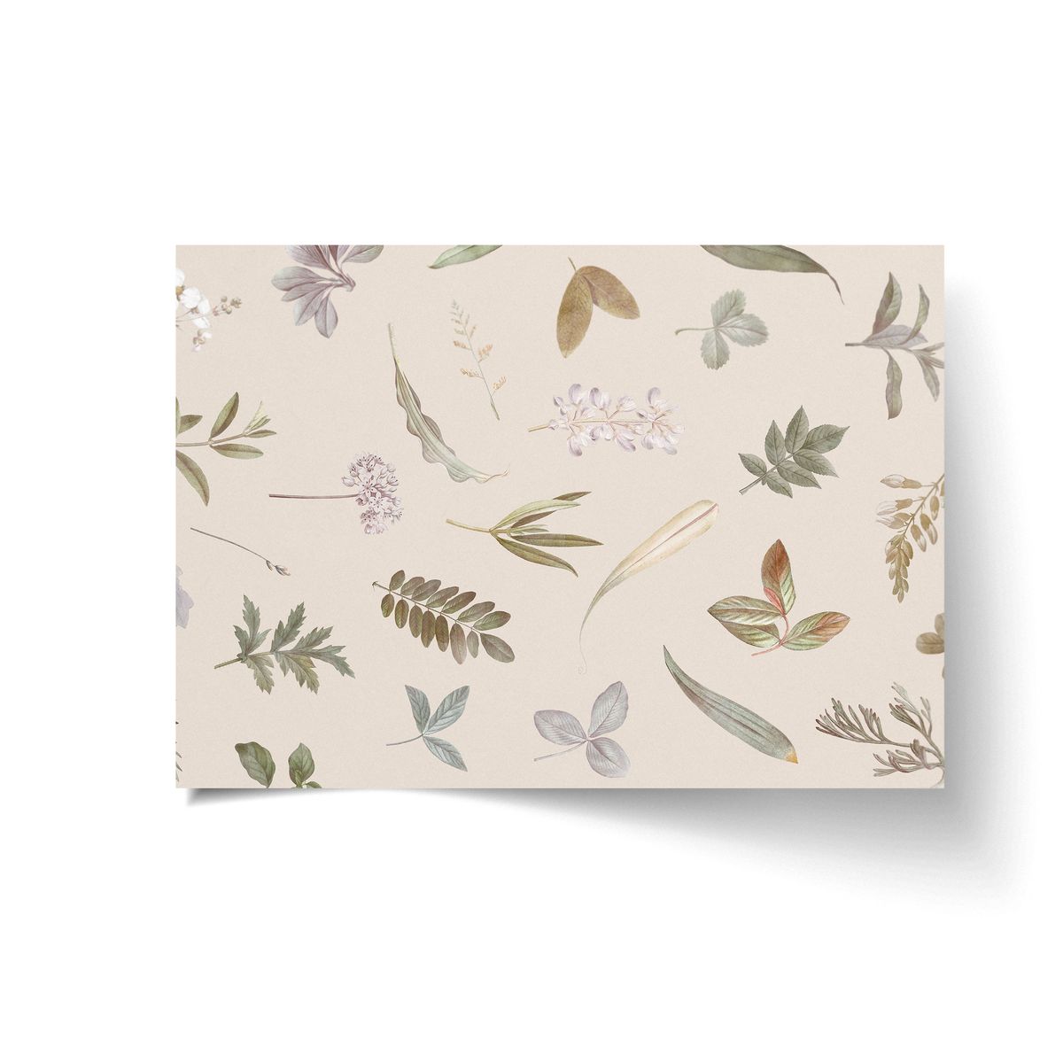 A3 Disposable Paper Placemat Set Dried Flowers Shop Today. Get it
