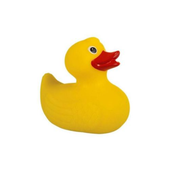 Vinyl Rubber Duck- Pack Of 2