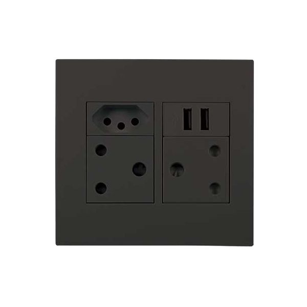 ACDC - 2xSA 16A 1x N-type 16A 2x 2.1A Usb 4x4 Black Orion