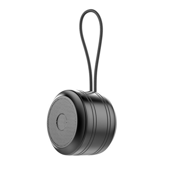 Portable wireless Bluetooth speaker