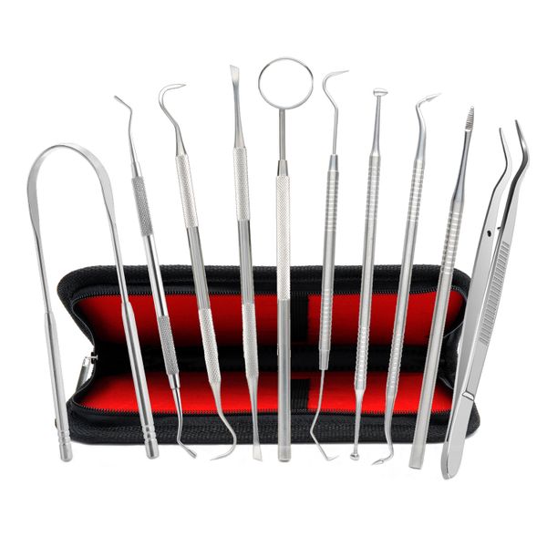10 Piece Dental Oral Tools Cleaning kit Tooth Plaque Remover Repair Pet kids