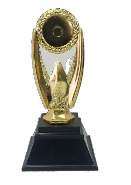 Pack of 10 Gold Trophies with Insert Sticker K1