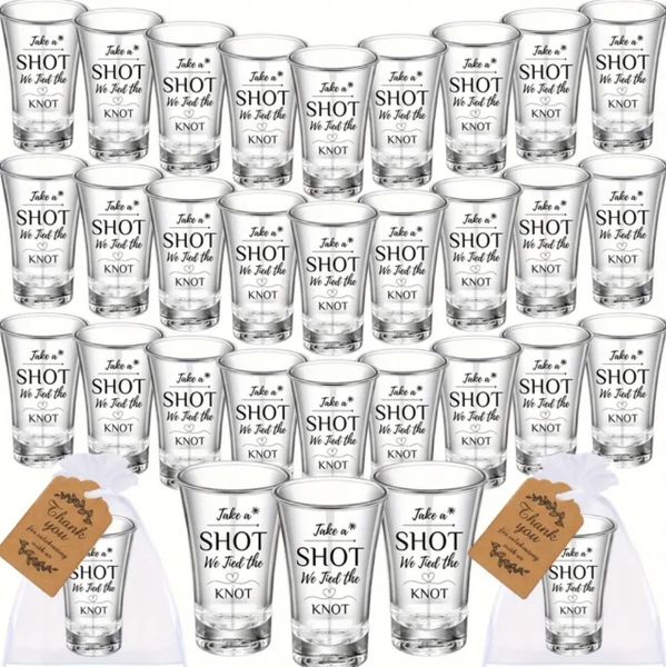 Wedding Shot Glasses "Take A Shot, We Tied The Knot" Party Favor Bridal