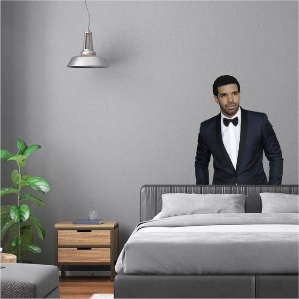 Young Suited Drake Wall Art - 504 x 544