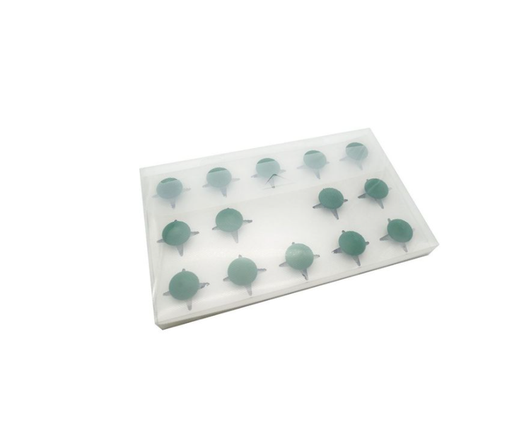 EDX Education Paint Stamp Jungle - 14 Piece