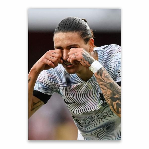 Darwin Cry Baby Face Poster - A1