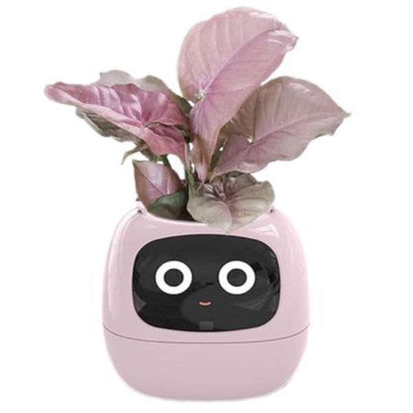 Thumbnail product image - 1