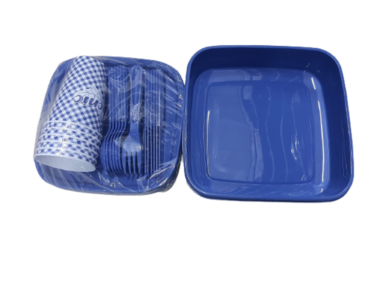 Camp out 6 Person Picnic Food Storage Server Plate Cups And Cutlery Set