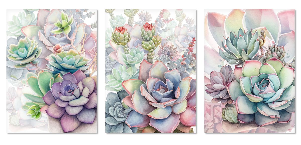 Wall Art - Selection of Watercolour Succulents