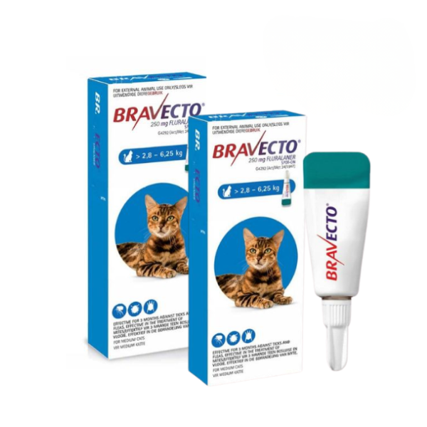 Bravecto Tick &amp; Flea Spot On for Cats - Medium - 2 Pack